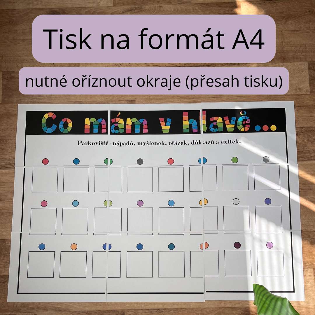 MYŠLENKOVÉ PLAKÁTY - Obrázek 2