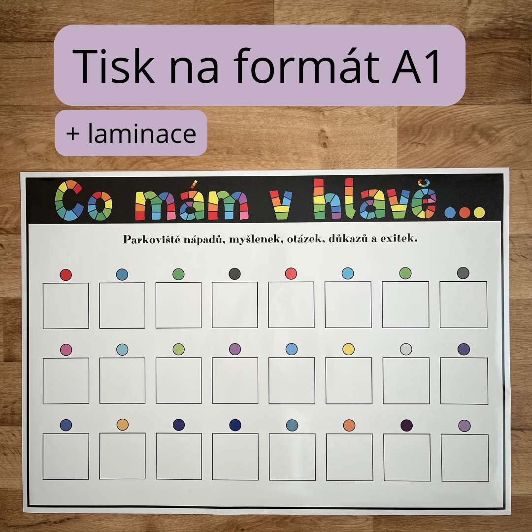 MYŠLENKOVÉ PLAKÁTY - Obrázek 3